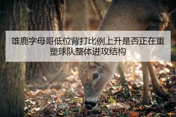 雄鹿字母哥低位背打比例上升是否正在重塑球队整体进攻结构 | kaiyun