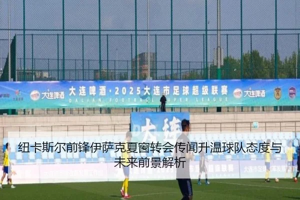 纽卡斯尔前锋伊萨克夏窗转会传闻升温球队态度与未来前景解析 - kaiyun