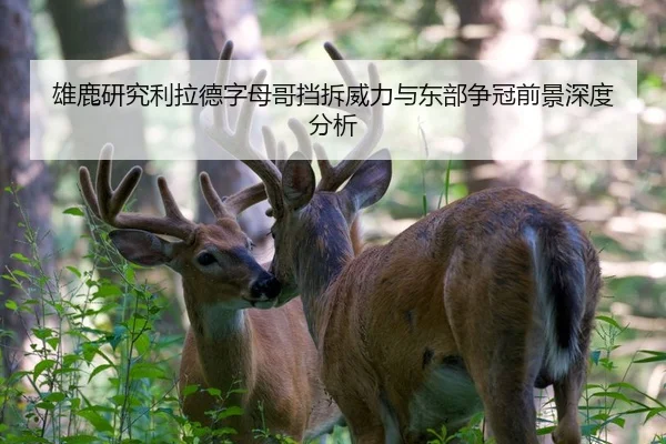 雄鹿研究利拉德字母哥挡拆威力与东部争冠前景深度分析 - kaiyun